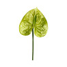 Tige d’Anthurium Artificiel Vert