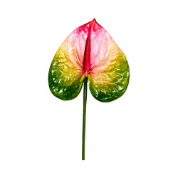 Tige d’Anthurium Artificiel Vert Jaune Rose