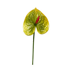 Tige d’Anthurium Artificiel Vert Cœur Rose
