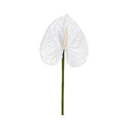 Tige d’Anthurium Artificiel Blanc