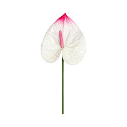 Tige d’Anthurium Artificiel Blanc Pointe Rose