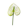 Tige d’Anthurium Artificiel Blanc et Vert