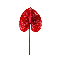 Tige d’Anthurium Artificiel Rouge