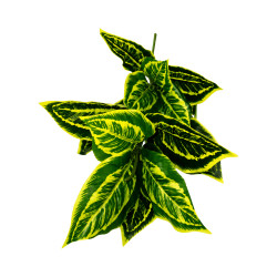 Feuillage Artificiel Calathea XL Jaune et Vert