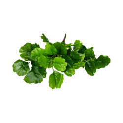 Feuillage Artificiel Vert XL