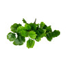 Feuillage Artificiel Vert XL