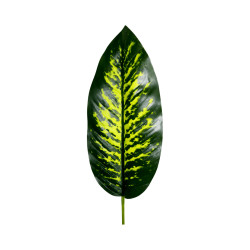Feuillage Artificiel Ape Vert Panaché M – Tige Individuelle