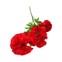 Œillet Artificiel Rouge sur Tige