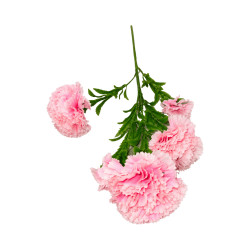 Œillet Artificiel Rose sur Tige