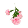 Œillet Artificiel Rose sur Tige