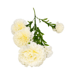 Œillet Artificiel Blanc sur Tige