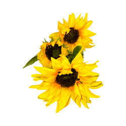 Tournesol Artificiel Jaune – 3 Fleurs Longue Tige