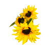 Tournesol Artificiel Jaune – 3 Fleurs Longue Tige