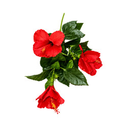 Branche de Aute Artificielle Rouge – Longue Tige