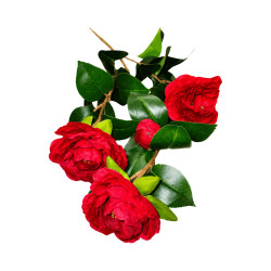 Branche Fleurie Artificielle Rouge – Longue Tige