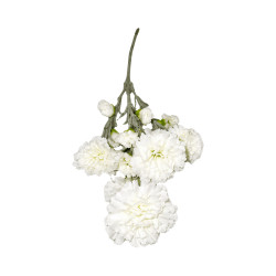 Tige d’Œillet Artificiel Blanc – Longue Tige