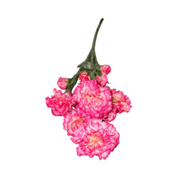 Tige d’Œillet Artificiel Rose Panaché – Longue Tige