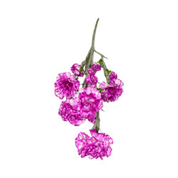 Tige d’Œillet Artificiel Mauve – Longue Tige