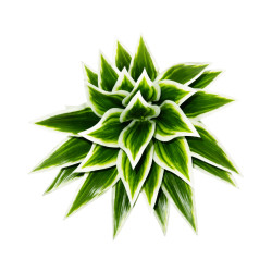Mini Auti Artificiel Blanc et Vert – Tige Décorative
