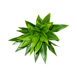 Mini Auti Artificiel Vert – Tige Décorative