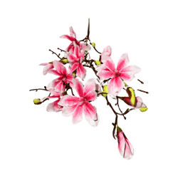 Branche de Magnolia Rose Artificielle