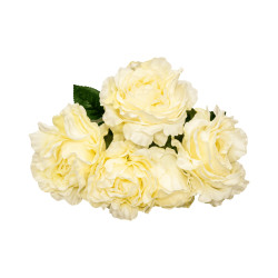Pivoine Beige Artificielle