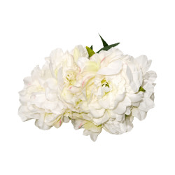 Pivoine Blanche Artificielle
