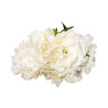 Pivoine Blanche Artificielle