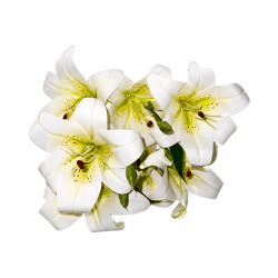 Bouquet de Lys Blanc Artificiel