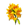 Bouquet de Lys Jaune Artificiel