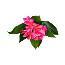 Tipanier Artificiel Rose Foncé