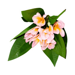 Tipanier Artificiel Rose Clair Cœur Jaune Or