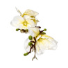 Branche de Magnolia Artificielle Blanche