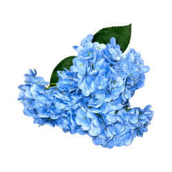 Hortensia Artificiel Bleu Clair à Grosses Fleurs