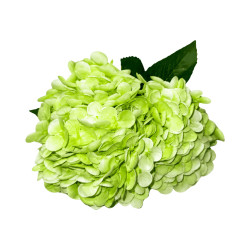 Hortensia Artificiel Vert Clair à Grosses Fleurs