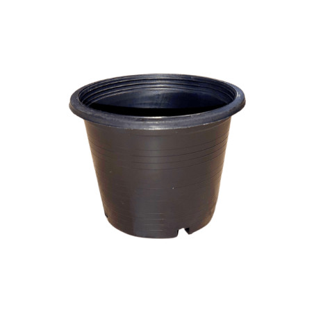 Pot plastique noir TH 1L