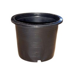 Pot noir TH 