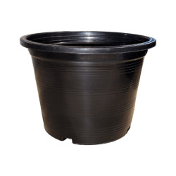 Pot noir TH