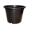 Pot noir TH
