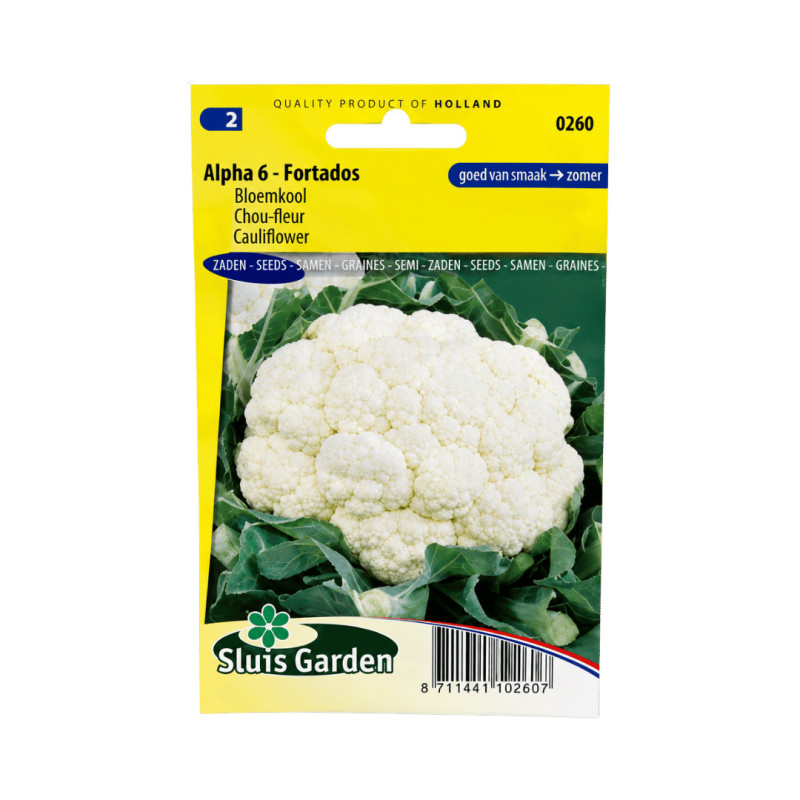 Graines de chou-fleur Alpha 6 Fortados