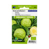 Graines de chou cabus Roem van Enkhuizen 3 BIO