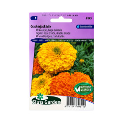 Graines de Tagète Rose d’Inde Crackerjack Mix