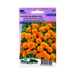 Graines de Tagète Œillet d’Inde Tangerine