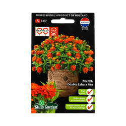Graines de Zinnia Double Zahara Fire