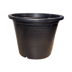 Pot noir TH 