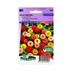 Graines de Zinnia Lilliput Mix – Fleurs doubles