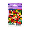 Graines de Zinnia Lilliput Mix – Fleurs doubles