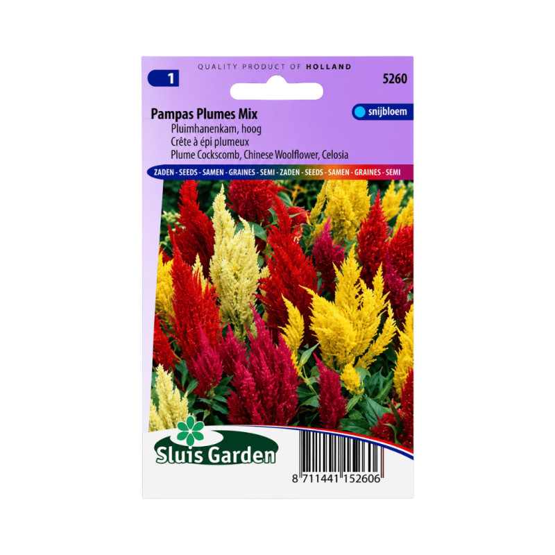 Graines de Célosie à épis plumeux Pampas Plumes Mix