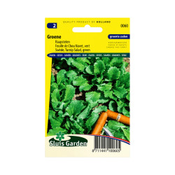 Graines de Feuille de Chou-Navet Vert