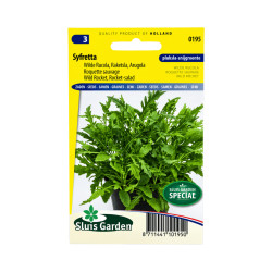 Graines de Roquette Sauvage Sylvetta